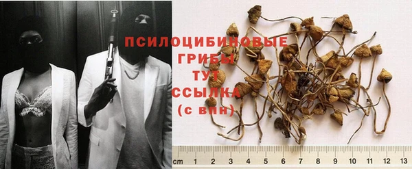 спайс Абаза
